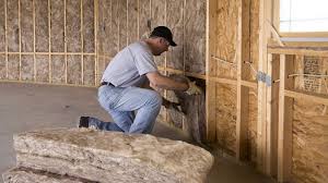 Best Insulation for New Construction  in Brandon, FL